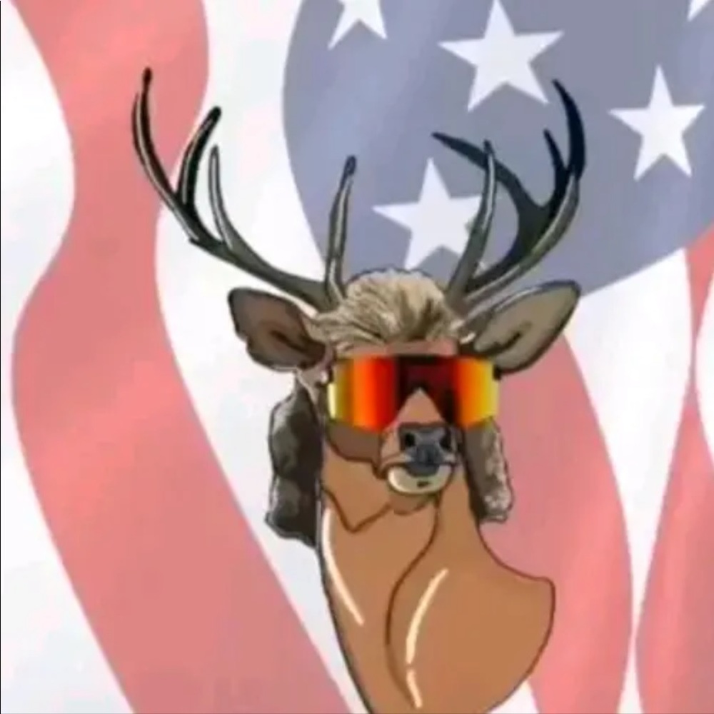 Meet your Posher, Maddie